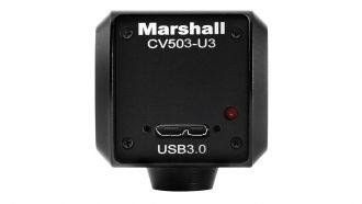 Marshall CV503 U3 back web