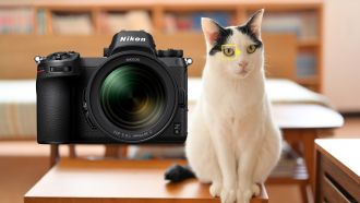 Nikon animal detection af cat