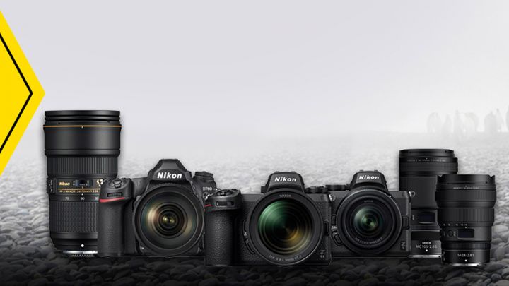 Nikon Weihnachtsrabatte 2022: bis zu 500 Euro sparen auf Nikon Z 7II, Z 6 II, Z 5