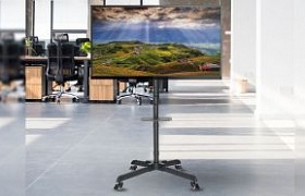 Reflecta TV Stand 55P-Shelf: Mobile TV-Ständer für Displays bis 55 Zoll